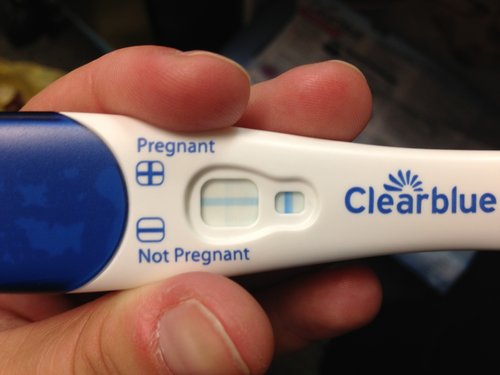 Результат теста на беременность Clearblue