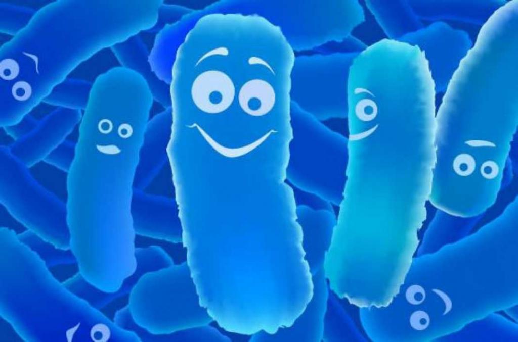 лактобактерин молочнокислые бактерии